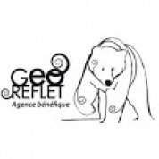 logo Geo Reflet