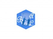 logo Bleu Azur Consulting