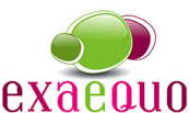 logo Exaequo Communication