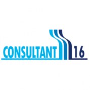 logo Consultant 16