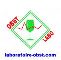 logo Laboratoire Obst