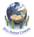 logo Eco Avenir Conseil