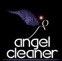 logo Angel Cleaner