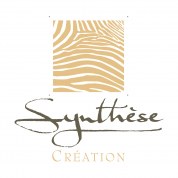 logo Synthese Troyes