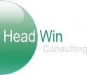 logo Headwin Consulting