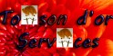 logo La Toison D'or Services
