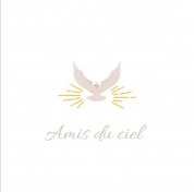 logo Amis Du Ciel