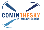 LOGO Cominthesky