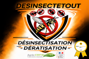 LOGO Désinsectetout