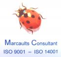 logo Marcaults Consultant