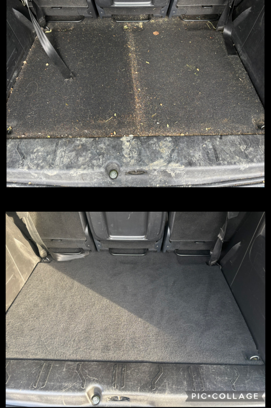 nettoyage d'un coffre rempli de poils d'un berlingo