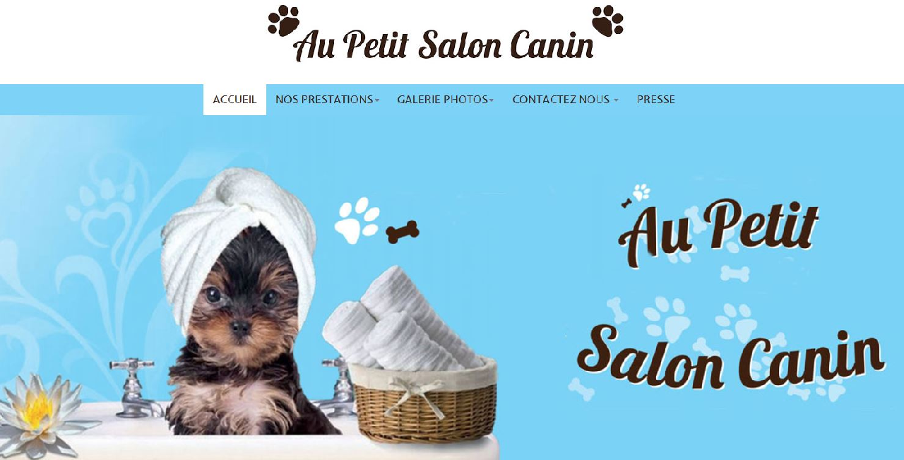 Création de site internet Salon canin